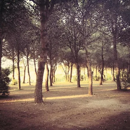 Alloggio per agriturismo Fontanelle